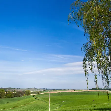 Hotel Restaurant Le Cleebourg 3*